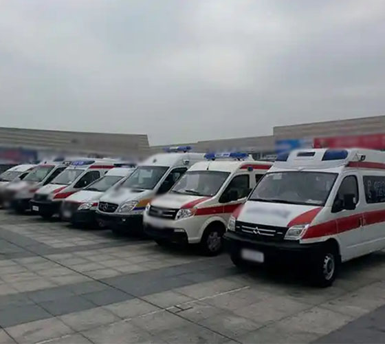 陇南服务车队展示